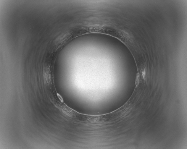 X0000059051252200510101003