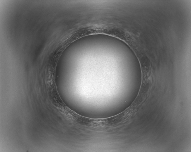 X0000059051253200510101003