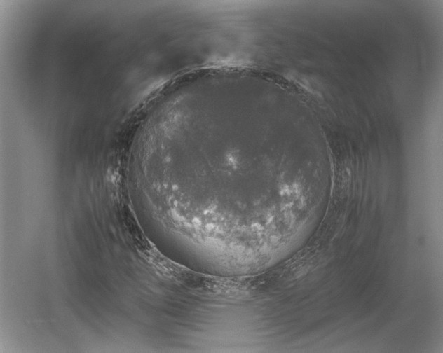 X0000059051254200510101003