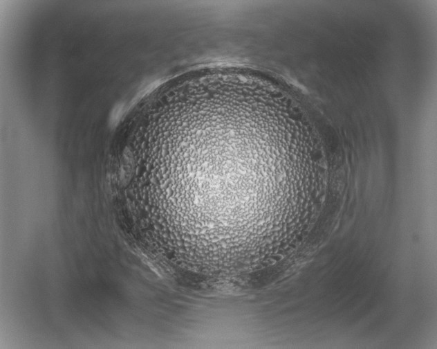 X0000059051255200510101003