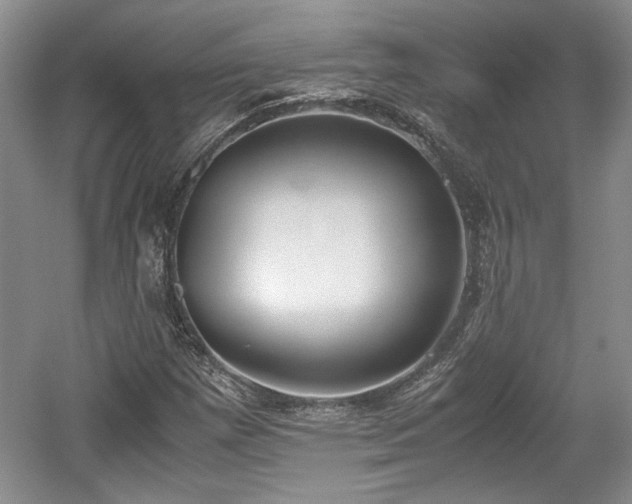 X0000059051257200510101002
