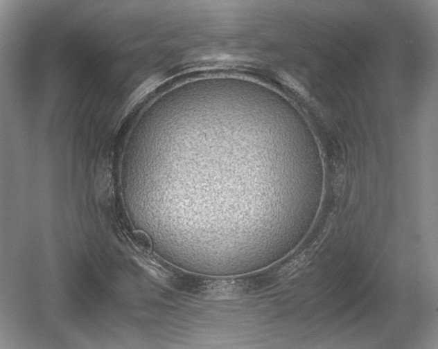 X0000059051259200510101002