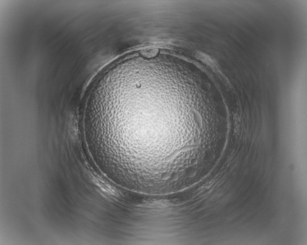 X0000059051260200510101002