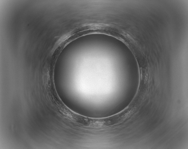 X0000059051261200510101002