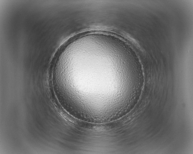 X0000059051264200510101002