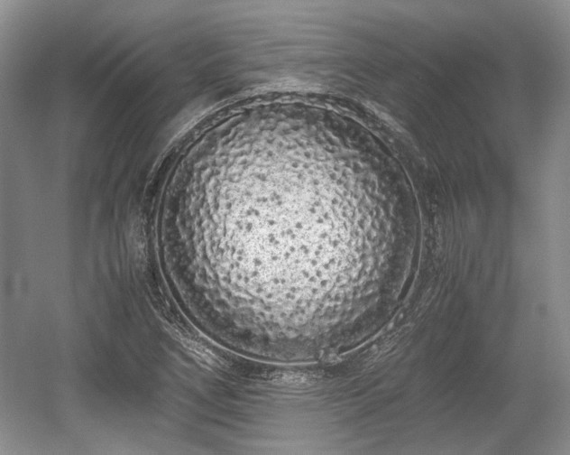 X0000059051266200510101002