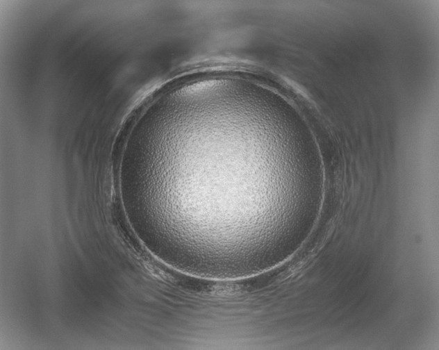 X0000059051267200510101002