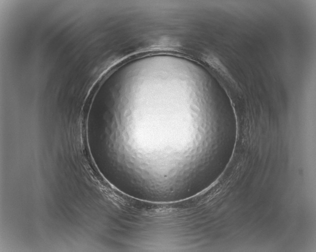X0000059051268200510101002