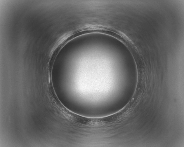 X0000059051269200510101002