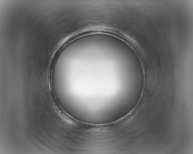 X0000059051272200510101002