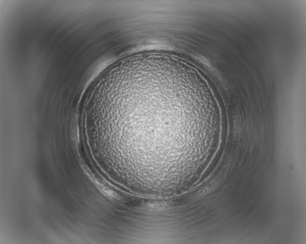 X0000059051274200510101002