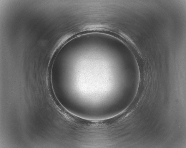 X0000059051277200510101002