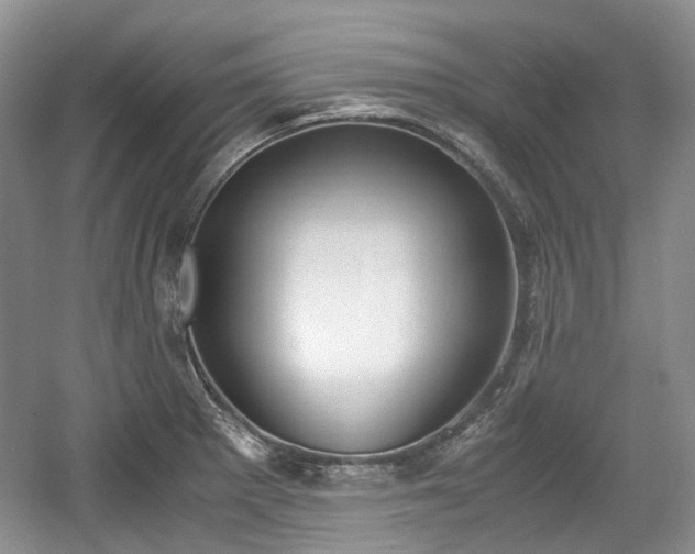 X0000059051281200510101002