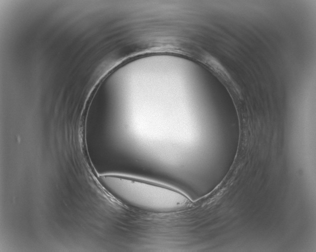 X0000059051284200510101002