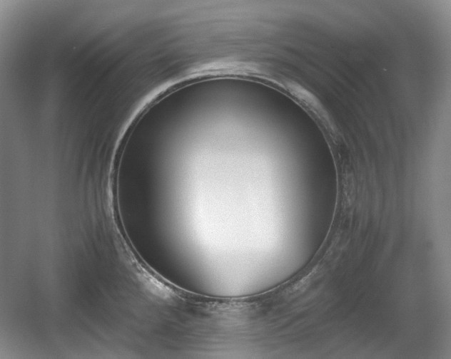 X0000059051288200510101002