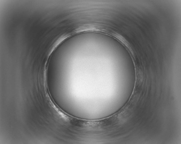 X0000059051290200510101002