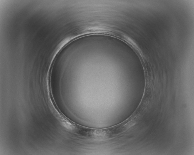 X0000059051291200510101002