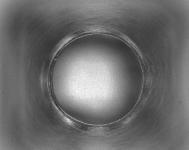 X0000059051293200510101002