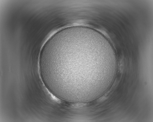 X0000059051294200510101002