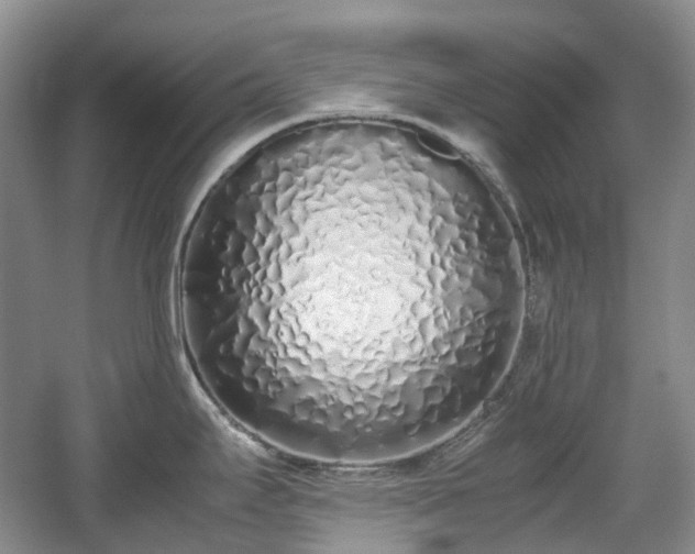 X0000059051295200510101002