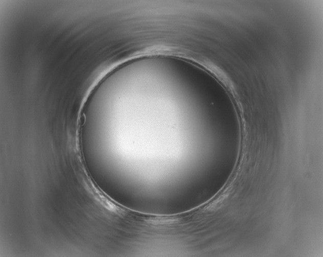 X0000059051296200510101002