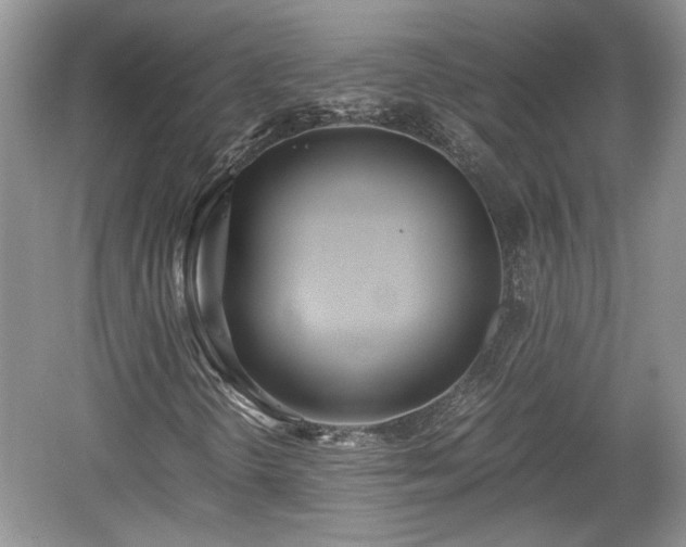 X0000059051298200510101001