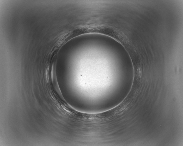 X0000059051300200510101001