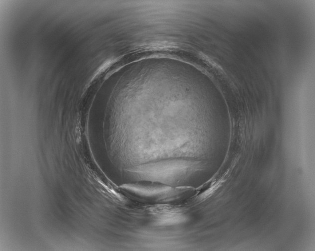 X0000059051306200510101001