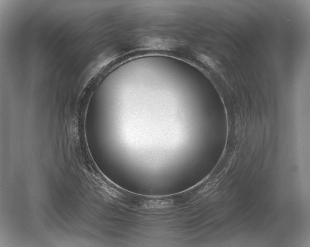 X0000059051307200510101001