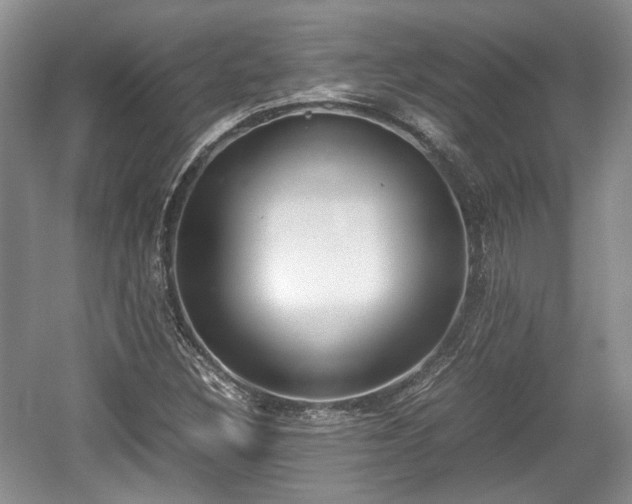 X0000059051308200510101001