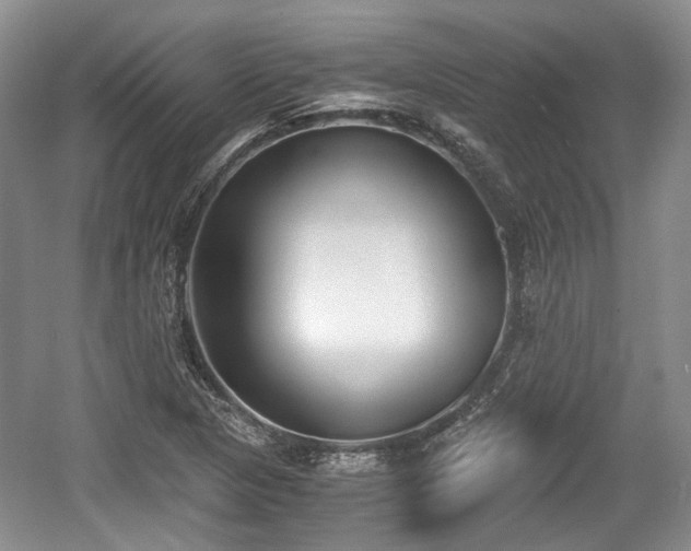 X0000059051313200510101001