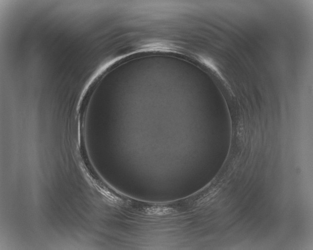 X0000059051323200510101001