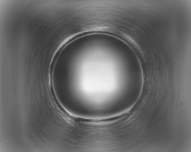 X0000059051324200510101001