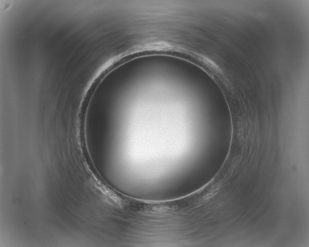 X0000059051326200510101002