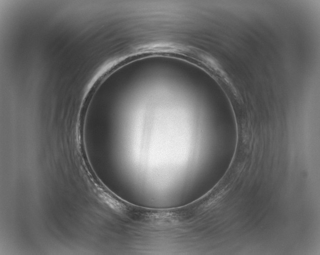 X0000059051328200510101002
