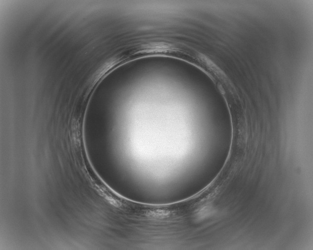 X0000059051329200510101002