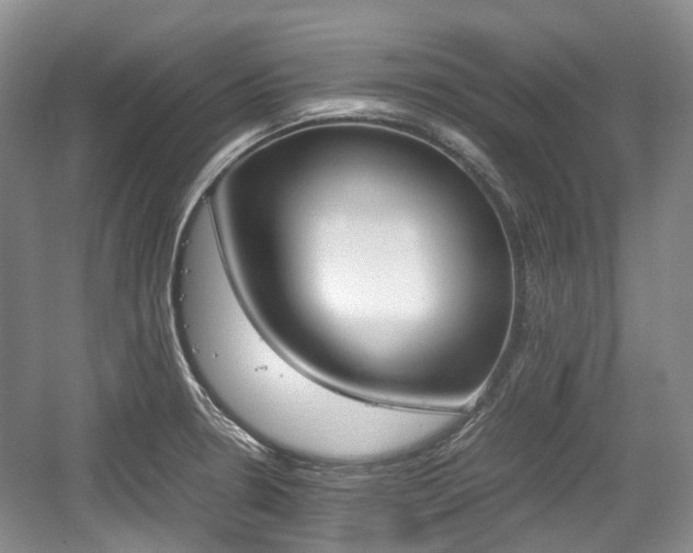 X0000059051330200510101002