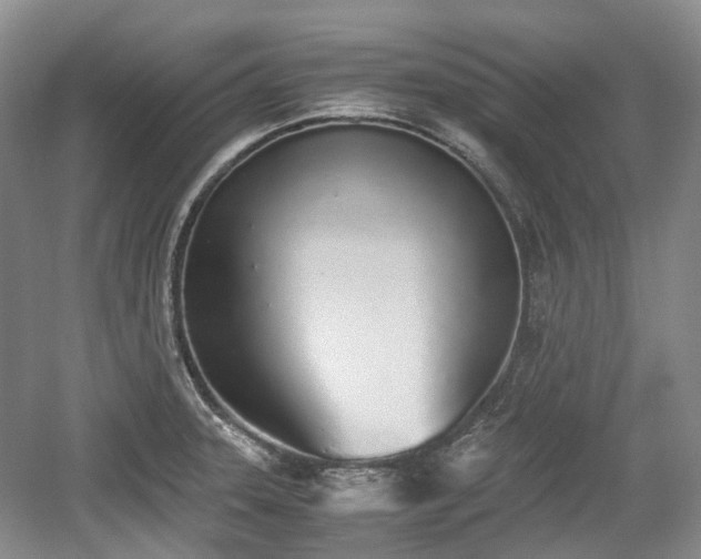 X0000059051331200510101002