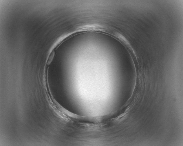 X0000059051336200510101002