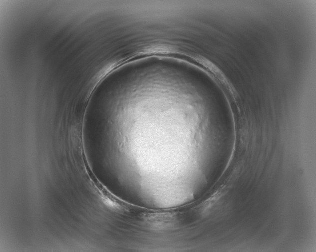 X0000059051337200510101002
