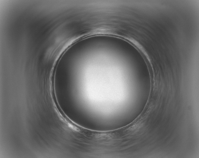X0000059051341200510101002