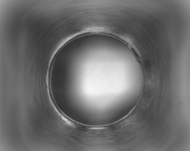 X0000059051343200510101002