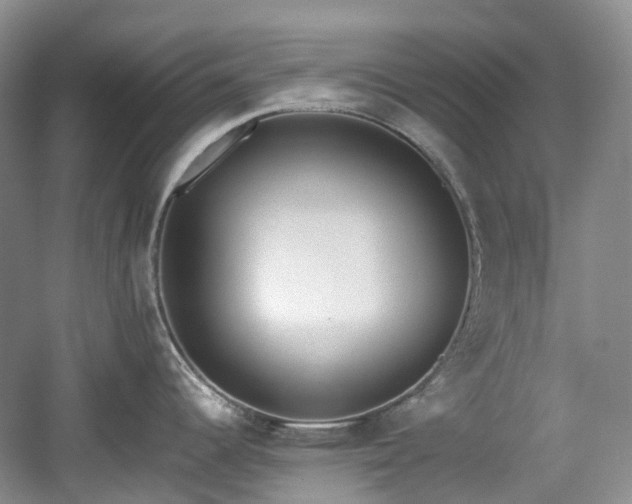 X0000059051344200510101002