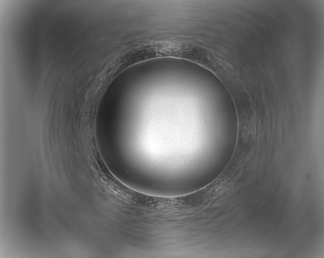 X0000059051345200510101001