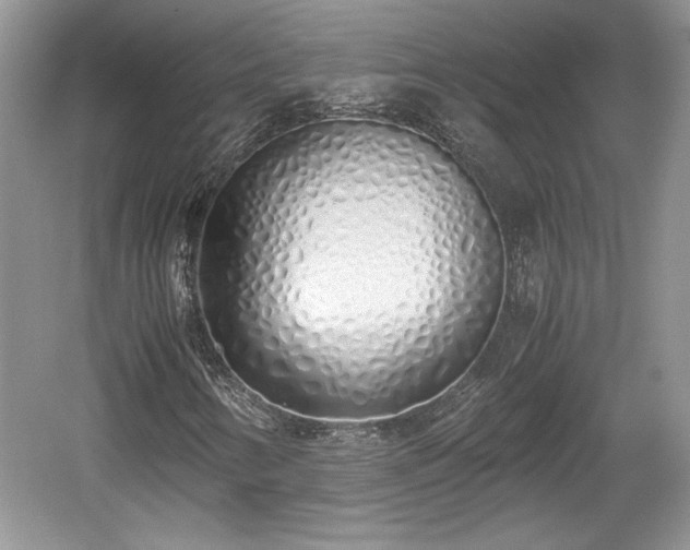 X0000059051346200510101001