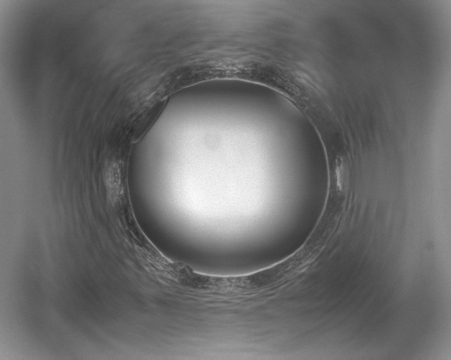 X0000059051347200510101001