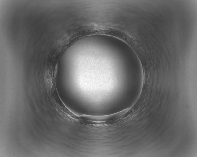 X0000059051348200510101001