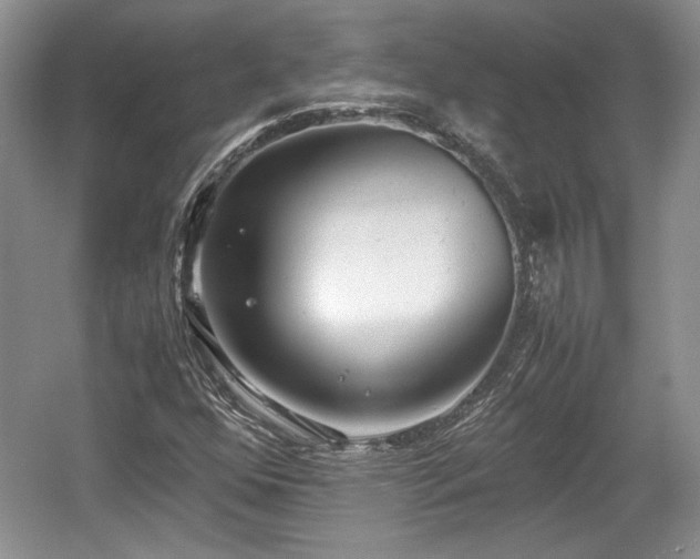 X0000059051352200510101001