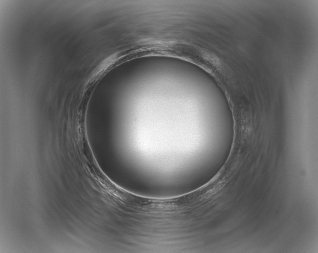 X0000059051354200510101001