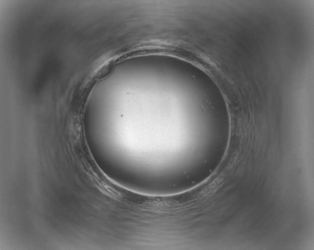 X0000059051355200510101001